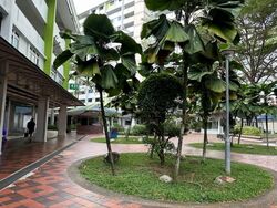 Nee Soon Central Spring (D27), Shop House #611079481
